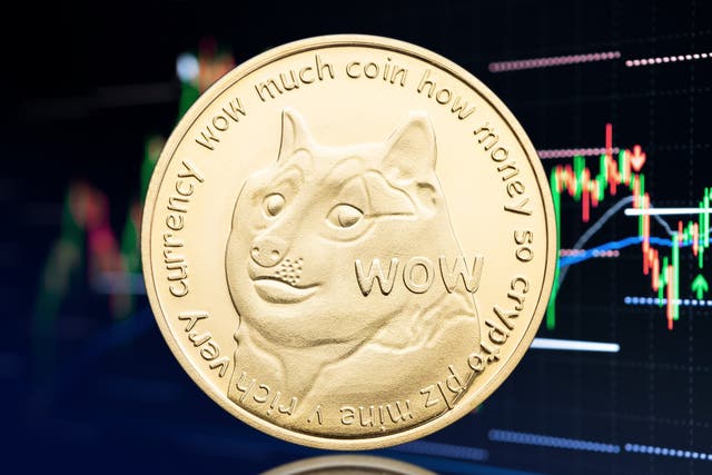 <p>The price of dogecoin shot up by nearly 10 per cent on 1 July after Elon Musk tweeted about the cryptocurrency</p>