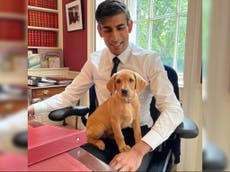 Rishi Sunak promises to ban live animal exports and hunting trophies