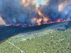 Canada-US heatwave death toll feared more than 300 as Trudeau and Biden warn ‘this won’t be the last’