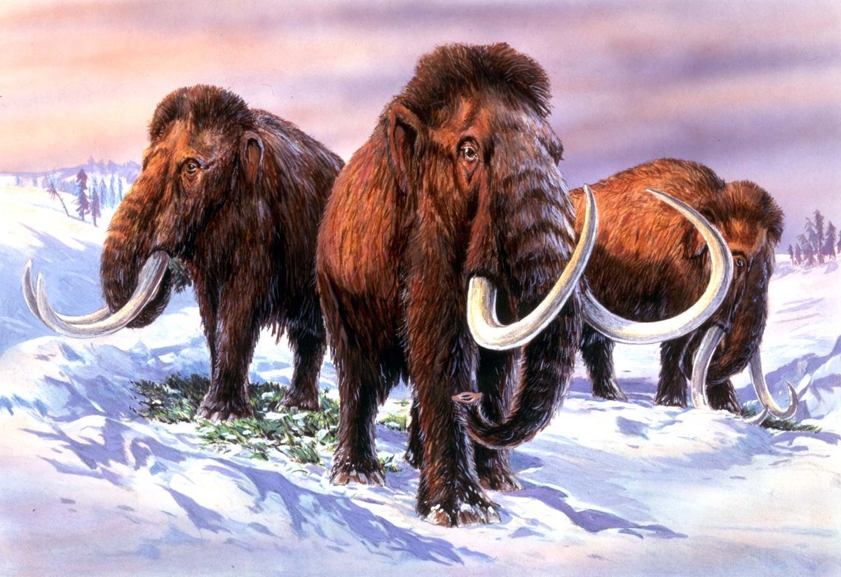 prehistoric elephants size