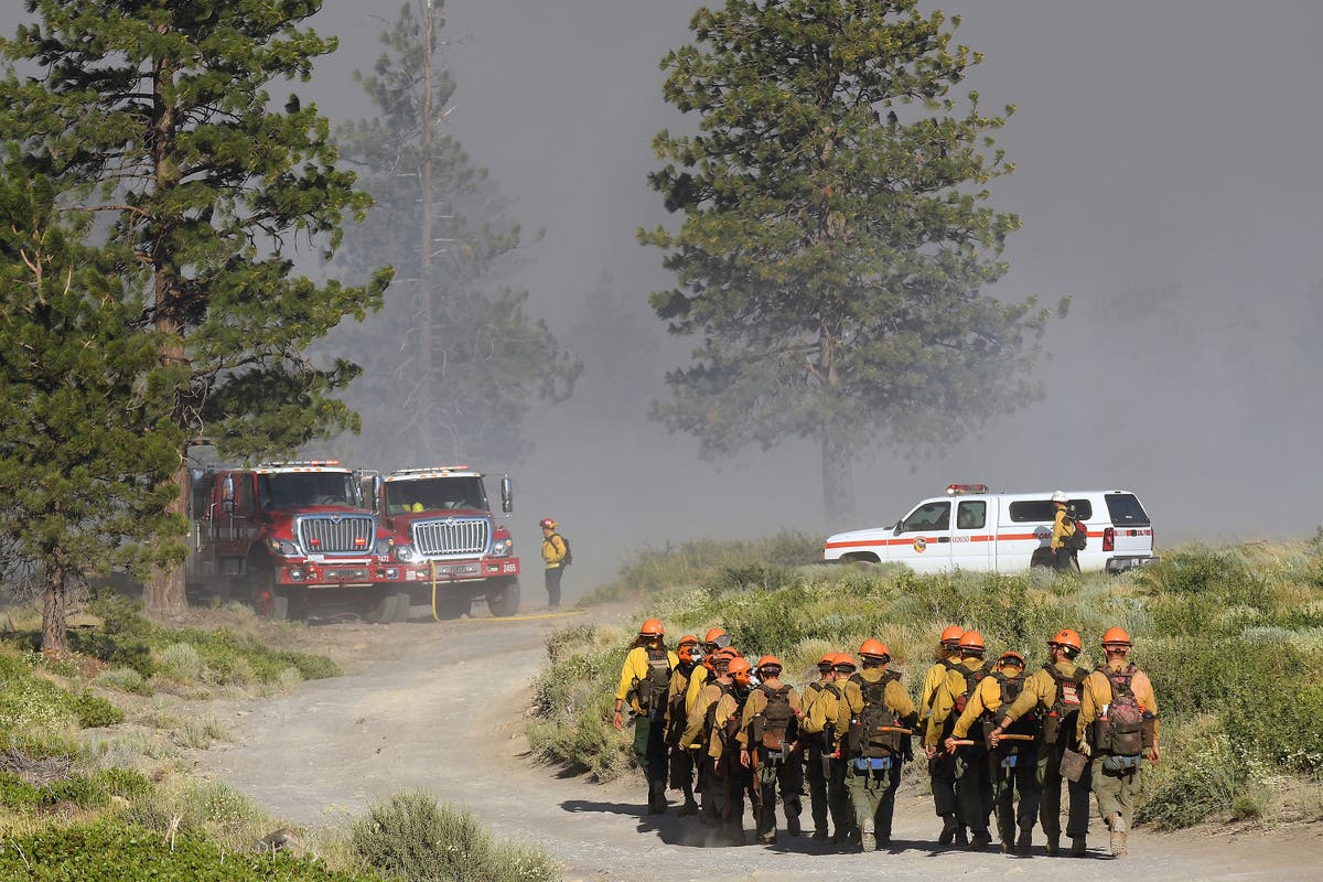 Canada US heatwave - live: Power grid fears as migrant who died working outside is among hundreds dead Canada US heatwave - live: Power grid fears as migrant who died working outside is among hundreds dead