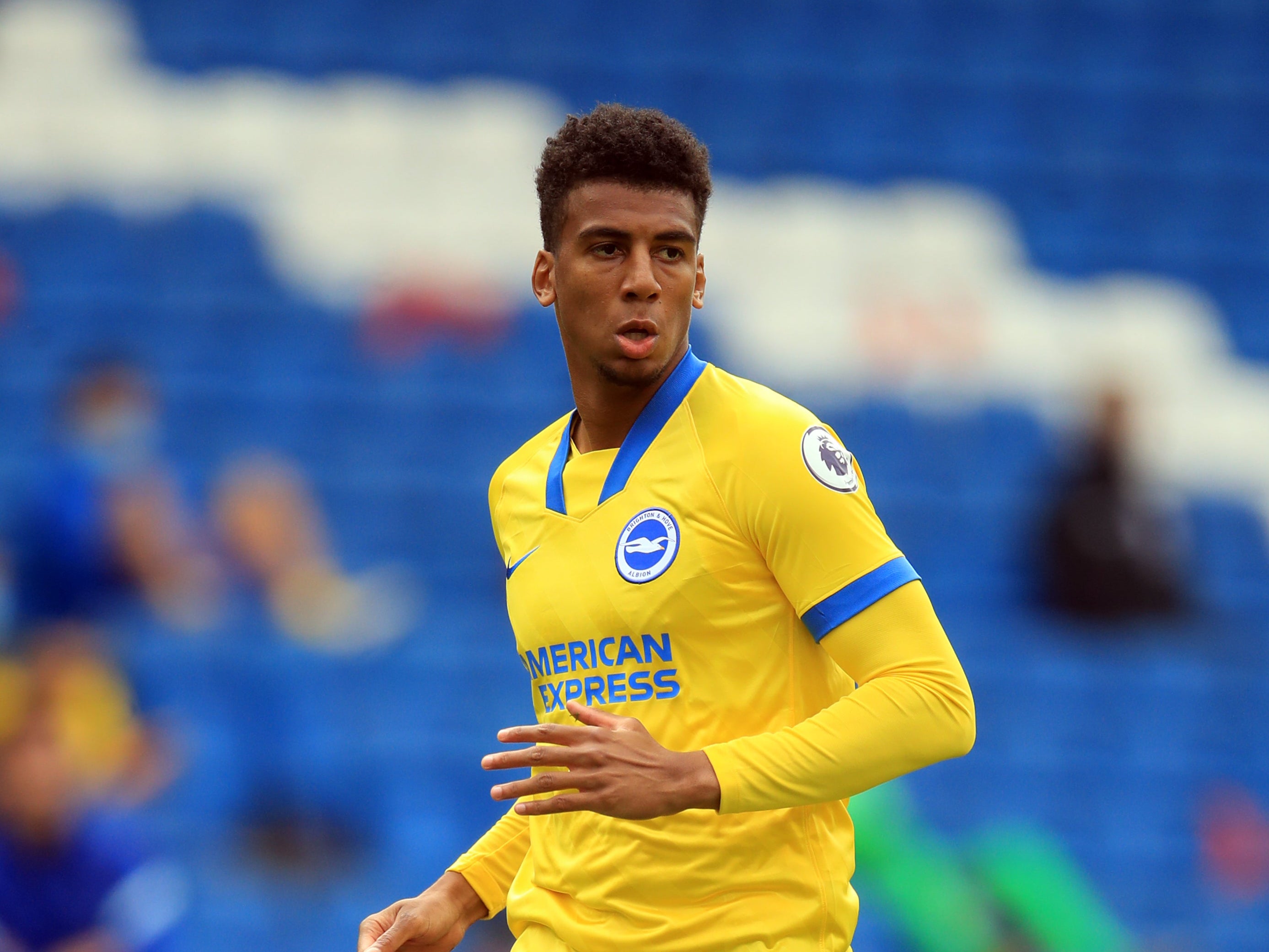 Bernardo in action for Brighton