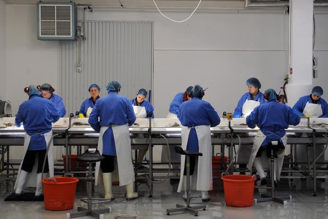 <p>Icelandic workers at a fish processing factory. Employees across Iceland are enjoying shorter working hours due to collective bargaining agreements, following the world’s largest ever pilot of a four day week</p>