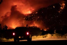 Inside the Canadian town wiped off the map by a heat wave: ‘I watched my pets burn alive’