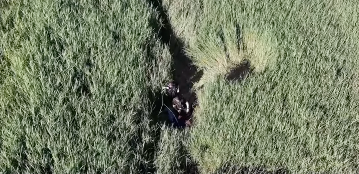 Missing grandfather saved by police drone after 18-hour search