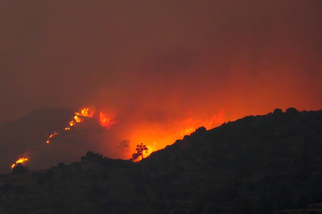 <p>A view of the forest fire on a mountain in the Larnaca region of Cyprus</p>
