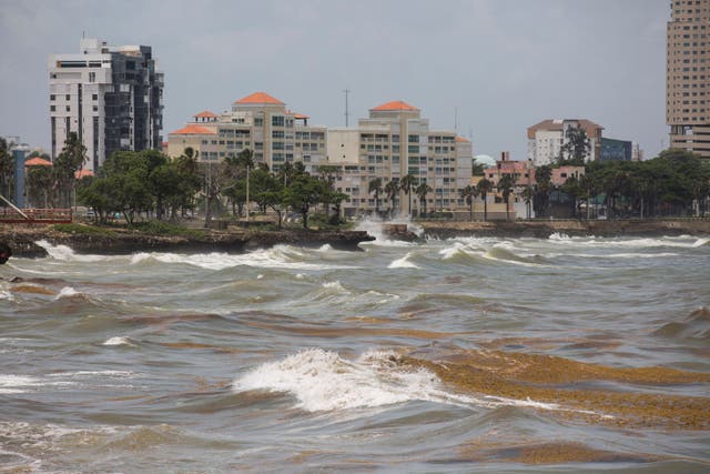 <p>Strong waves and sargassum brought by the tide are seen at the Malecon after the passage of storm Elsa in Santo Domingo, on 4 July 2021</p>