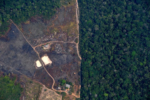 <p>Aerial picture showing a deforested piece of land in the Amazon in Rondonia, northern Brazil</p>