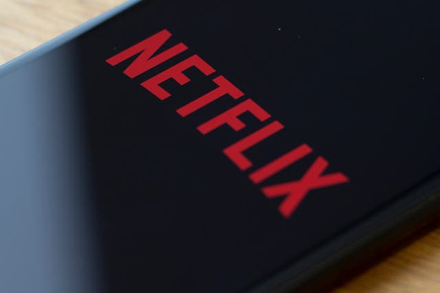 <p>Netflix logo as seen on a mobile phone</p>