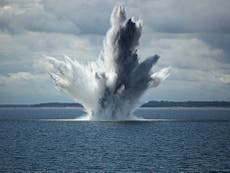 Royal Navy ‘making whales deaf’ while blowing up unexploded bombs, activists say