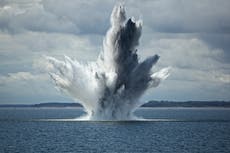 Royal Navy ‘making whales deaf’ while blowing up unexploded bombs, activists say