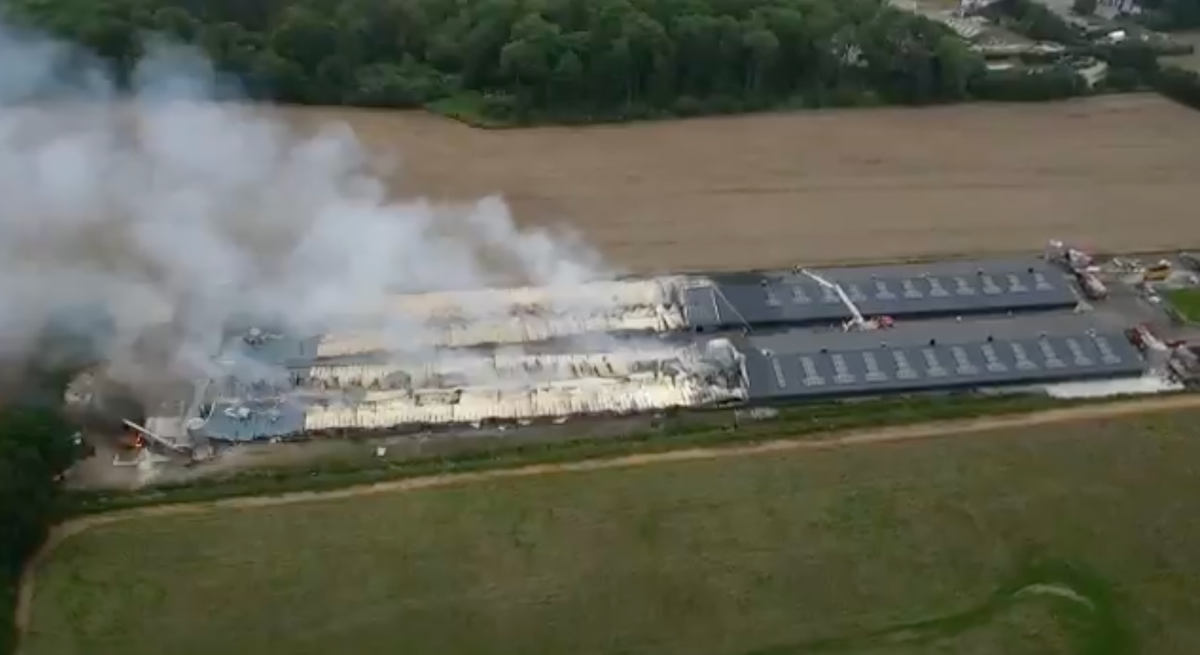 50,000 chickens die in fire after &lsquo;accidental ignition&rsquo; at poultry houses