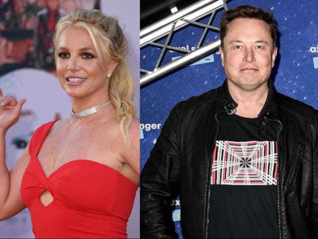 <p>Elon Musk ha expresado su apoyo a Britney Spears</p>