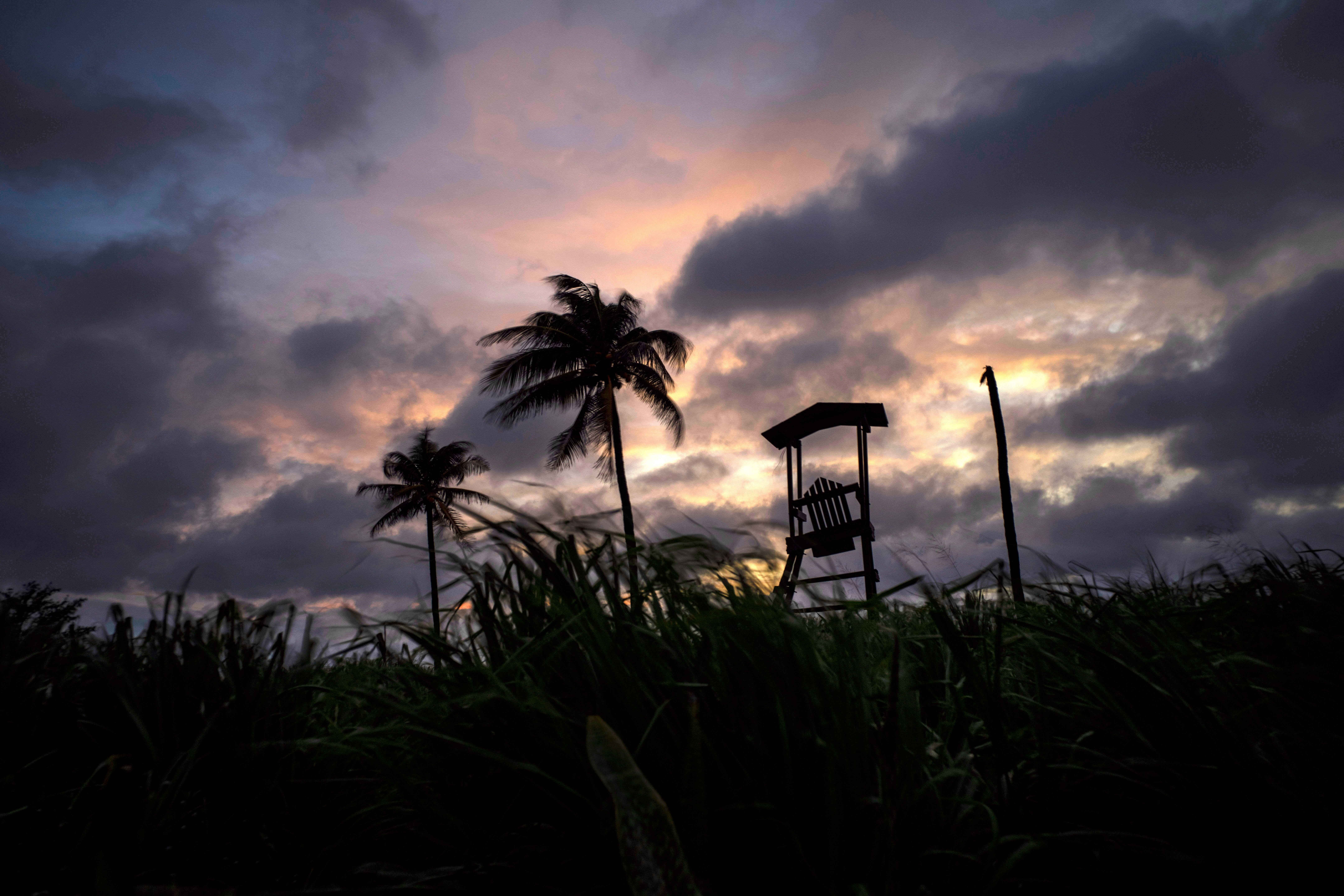 Wind moves the grass and palm trees under a cloudy sky after the passage of Tropical Storm Elsa in Havana, Cuba on Monday