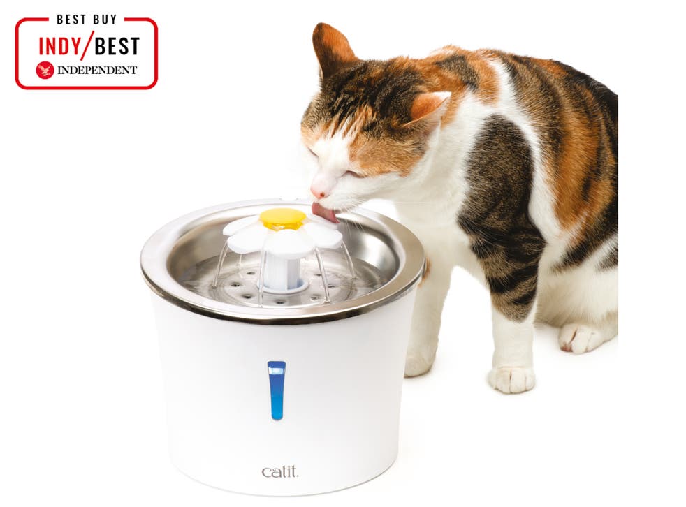 best cat water fountain 2021 encourage drinking for your pet the independent