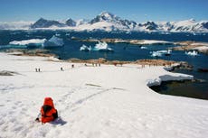 Why you should consider taking Antarctica off your bucket list