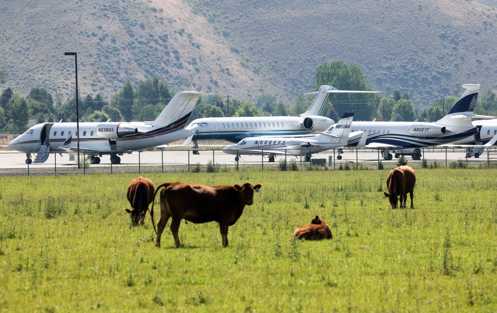 Private Jets park alongside grazing cows at Friedman Memorial Airport ahead of the Allen & Company Sun Valley Conference 2021