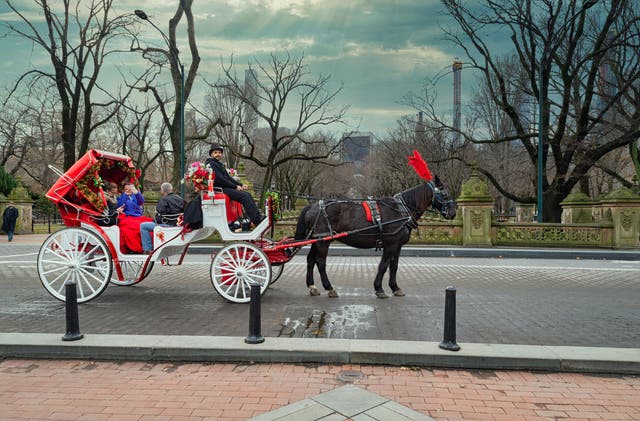 <p>Horse and carriage drivers were harassed by a man in Central Park</p>