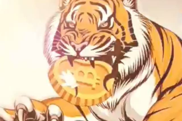 <p>A promotional image used by the obscure cryptocurrency Tiger King Coin</p>