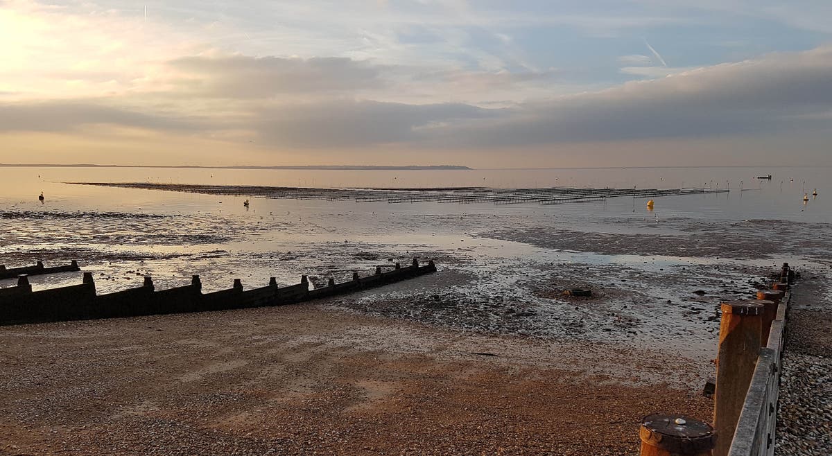 Southern Water in court after polluting Kent coast with raw sewage