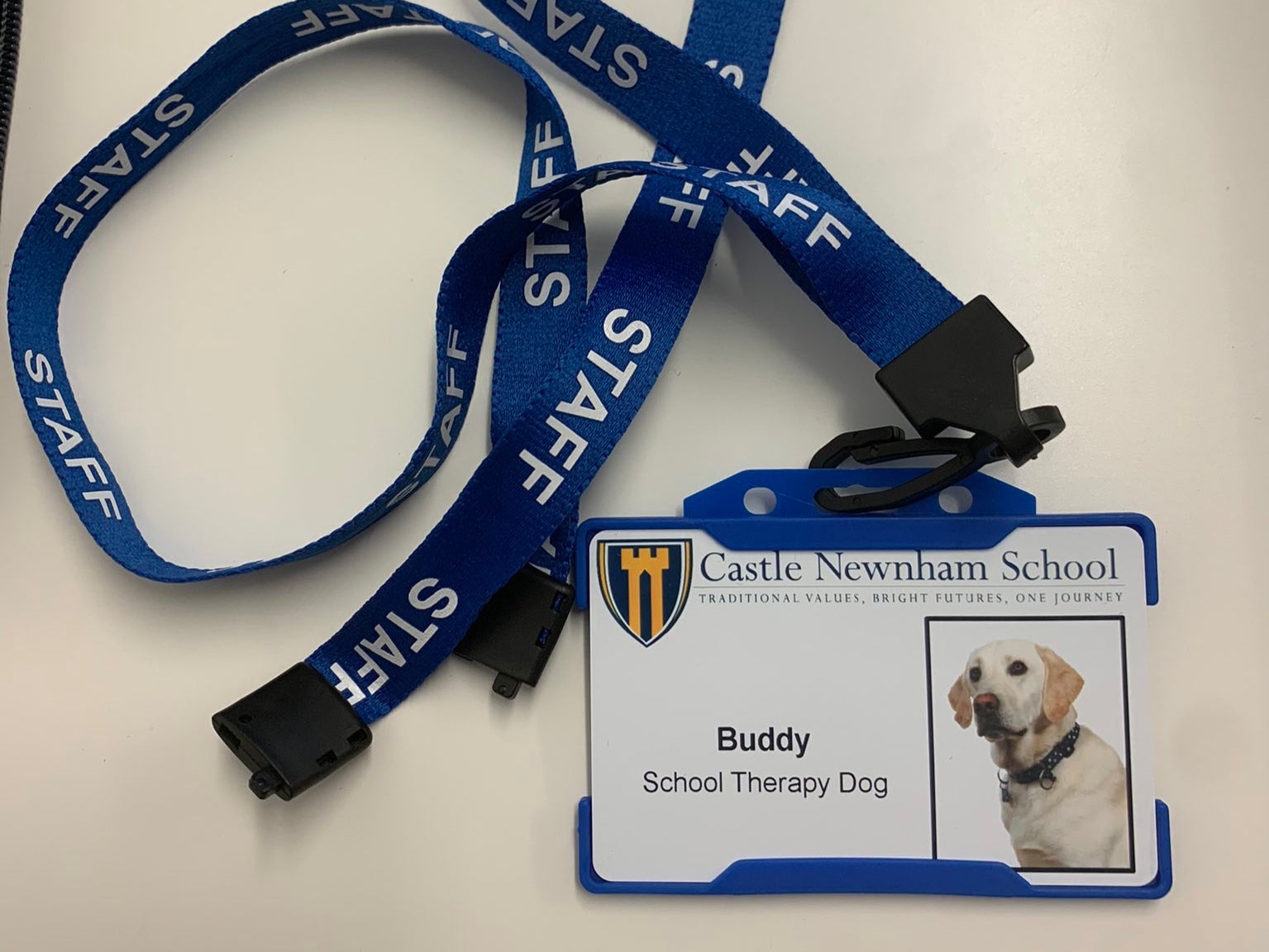 Buddy the School Therapy Dog’s official staff pass at Castle Newnham school
