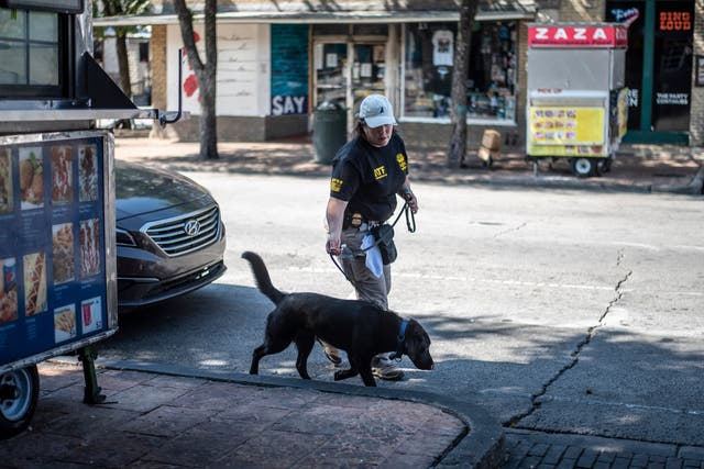 <p>An ATF K9 unit surveys the area near the scene of a shooting on June 12, 2021 in Austin, Texas.</p>