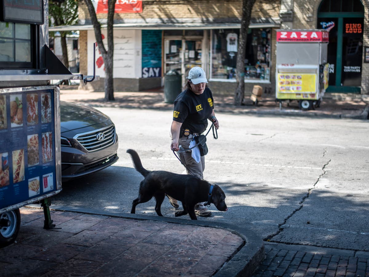 Drug-sniffing dogs sent into early retirement by cannabis legalisation