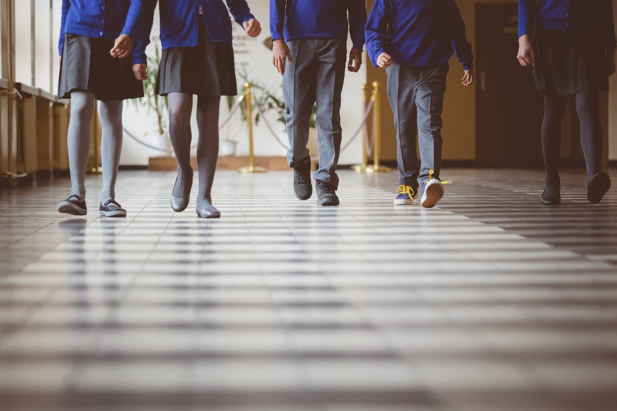 Girls win right to wear trousers to school after celebrities and MPs support petition