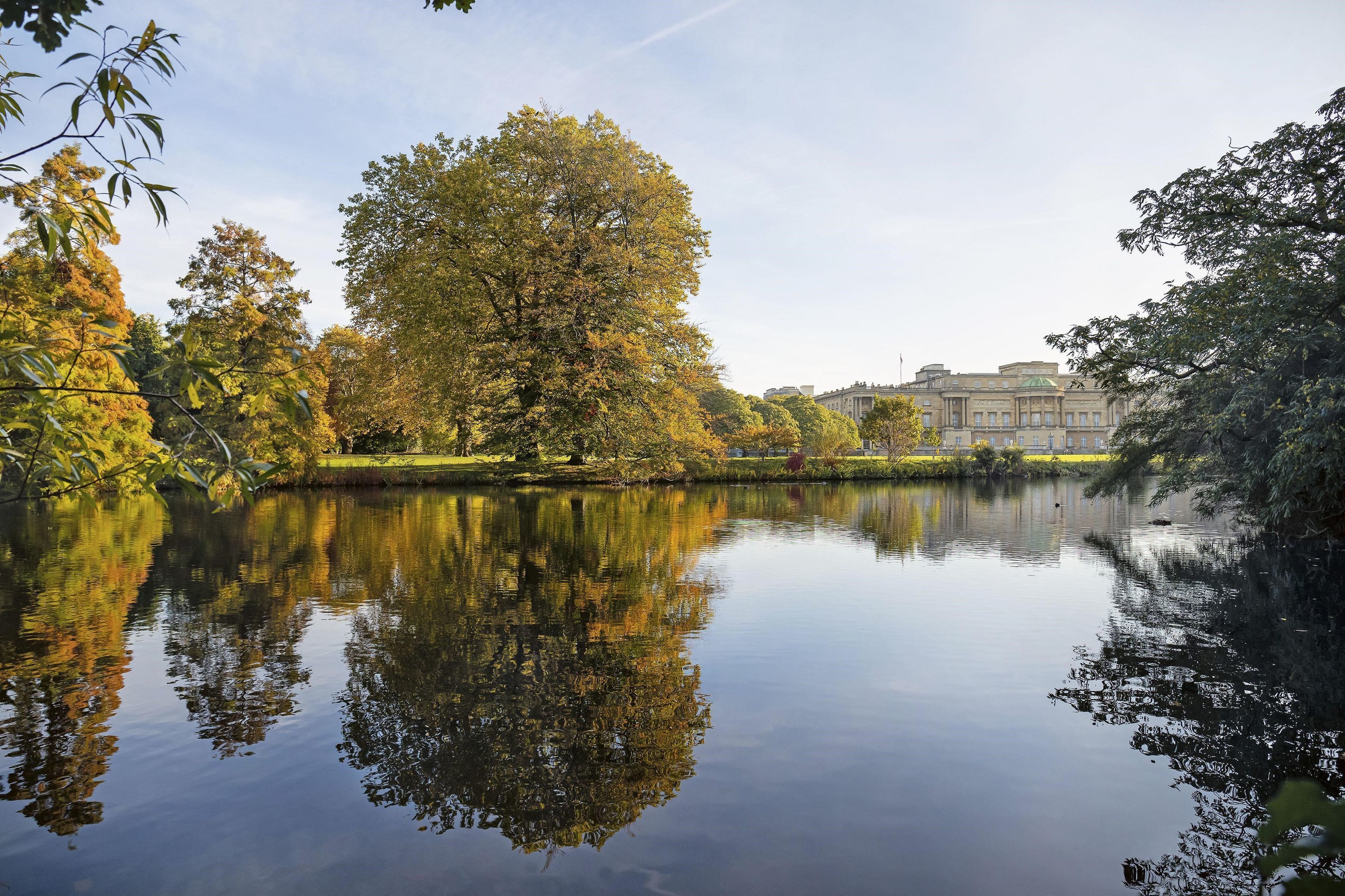 The 3.5 acre lake is set in 35 acres of gardens dating back to the 1820s
