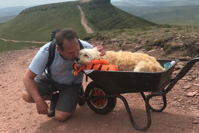 <p>Carlos and Monty at the top of Pen-y-Fan in Wales</p>