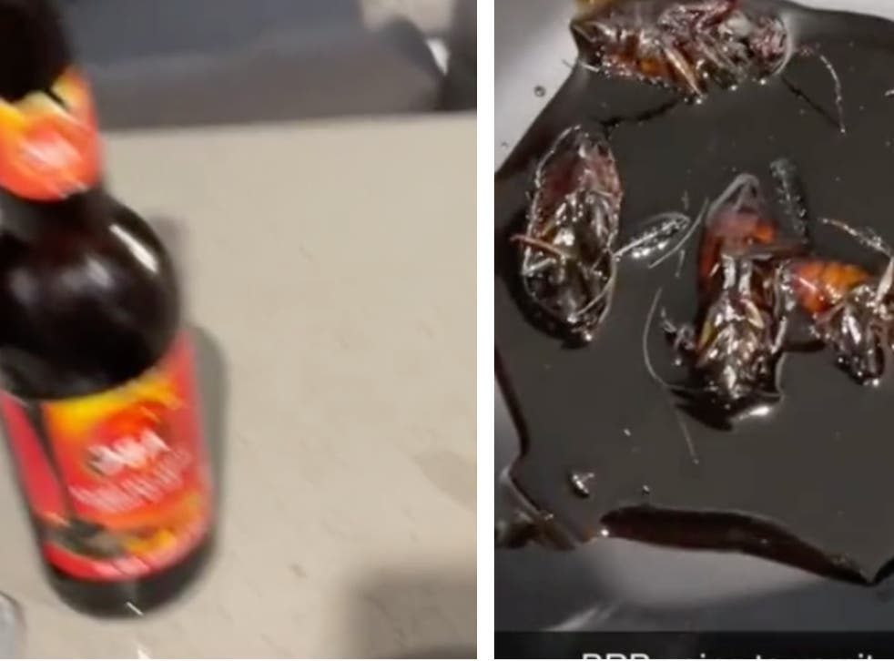 tiktok user finds dead cockroaches in her soy sauce bottle and the internet is repulsed indy100