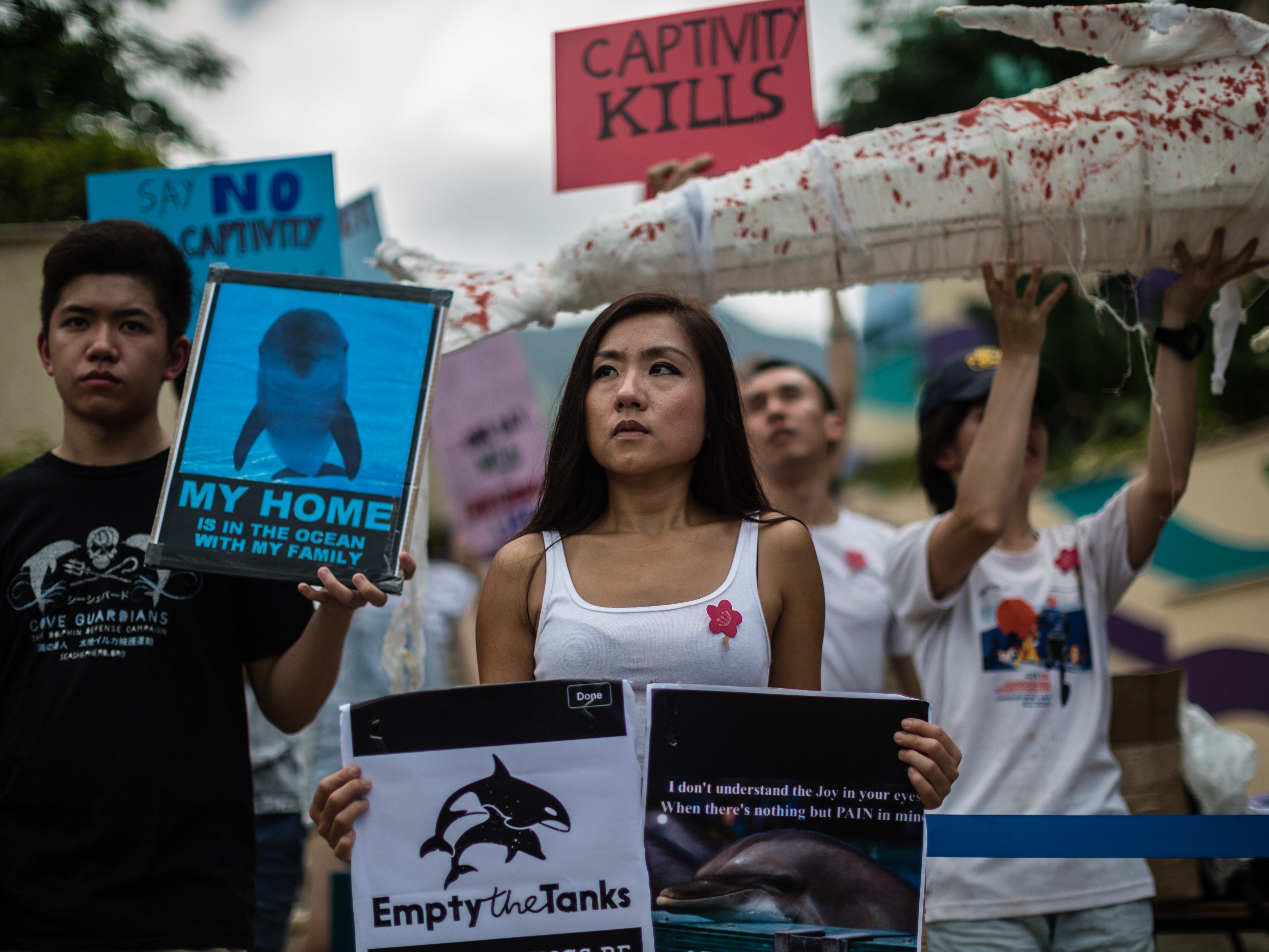 Protests have been staged for years against the marine parks