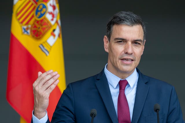<p>Spain's Prime Minister Pedro Sanchez answers questions during a meeting with the press</p>