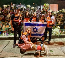 Therapy dogs for first responders and teams flown in from Israel: Inside the Miami condo recovery operation