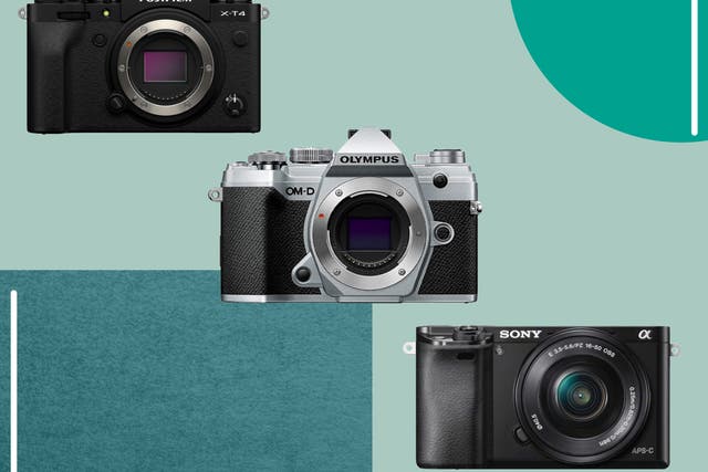 <p>Many top brands such as Canon, Nikon and Sony have made big claims about the mirrorless camera world’s future</p>