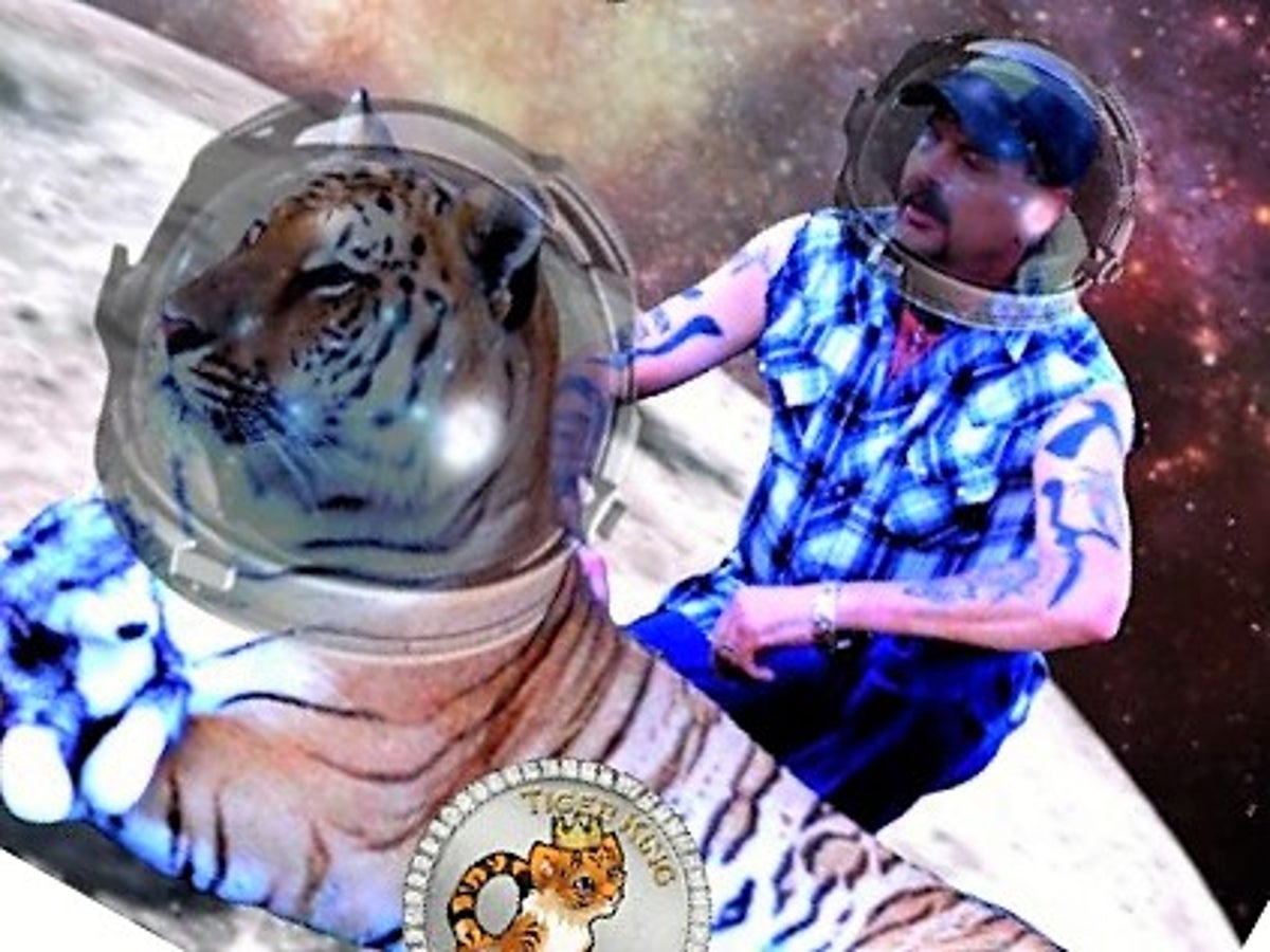 What is Tiger King Coin? Experts predict price of meme crypto will crash to  zero | The Independent