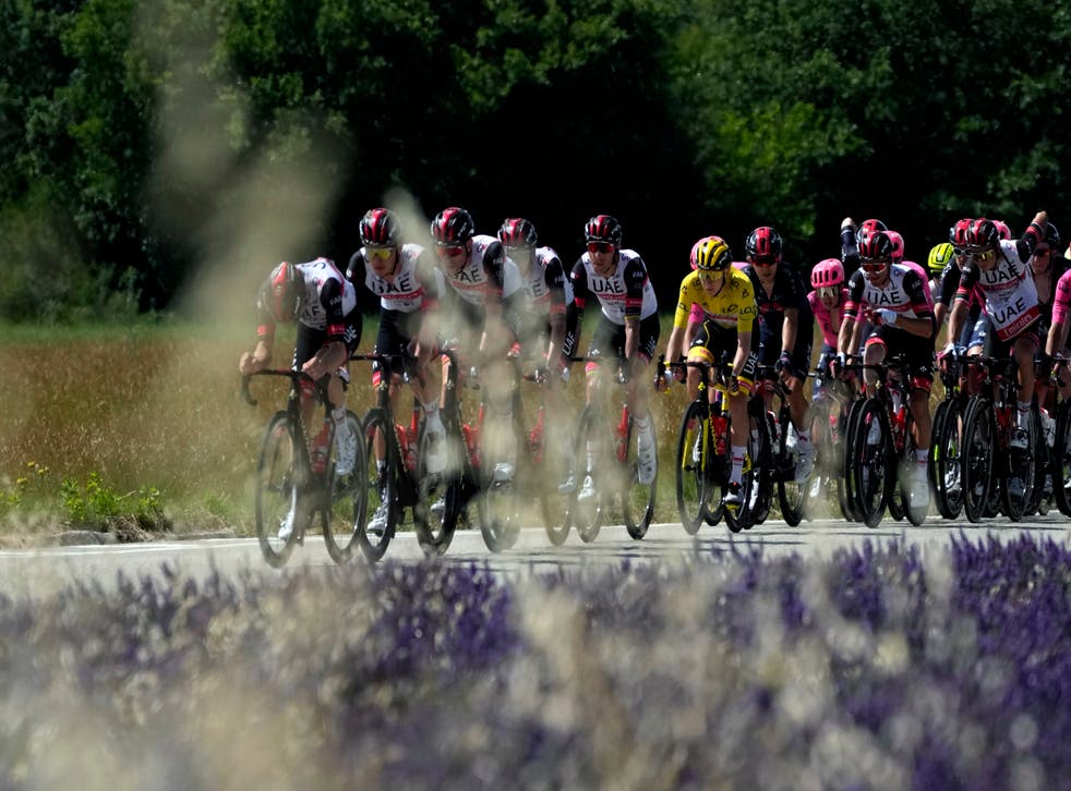 <p>The Tour de France peloton takes to the Danish coastline </p>