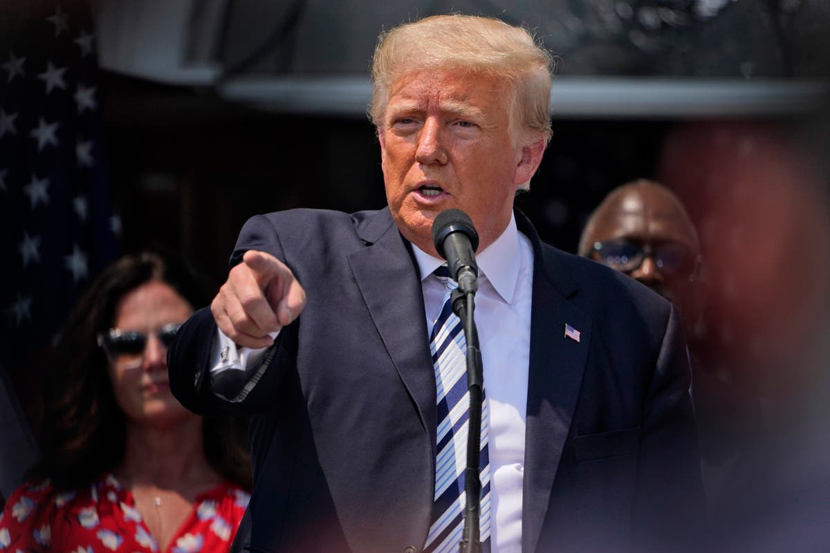 Trump se sale del guión para atacar a Bush en una entrevista con Hannity - Vimarsana News