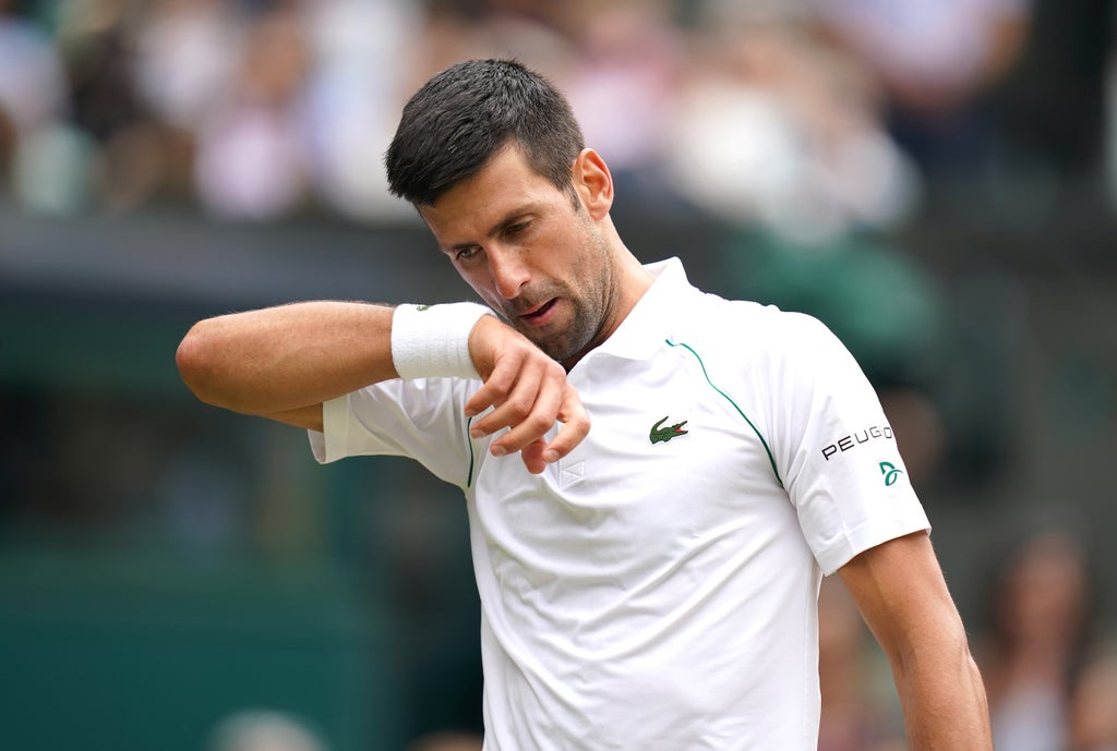 Wimbledon day 12: Novak Djokovic faces the next step on the road to 20