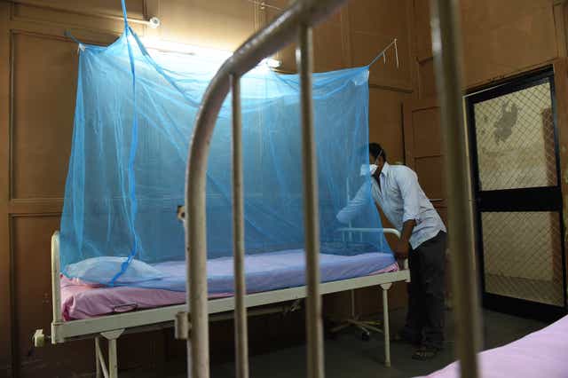 <p>File: An attendant places a mosquito net at an isolation ward for Zika virus patients at a hospital in India’s Ahmedabad city on 27 October 2018</p>