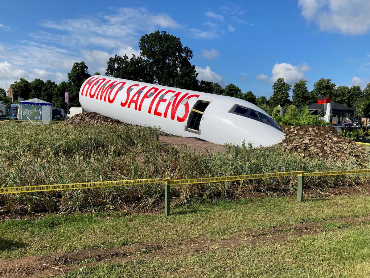 Garden designer reveals why she ‘totally intended to shock’ people with her plane wreckage display at Hampton Court