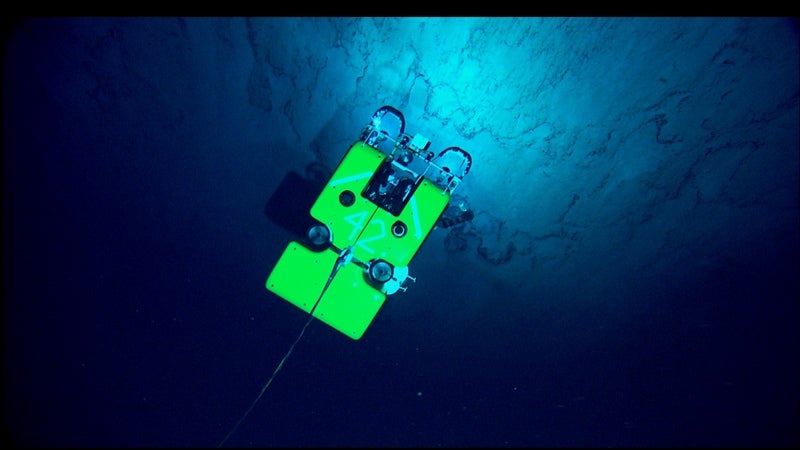 Hercules, a remotely operated underwater vehicle, searches for deep sea fauna