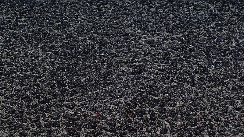 Manganese nodules, found on a seamount off Hawaii, take millions of years to fully form