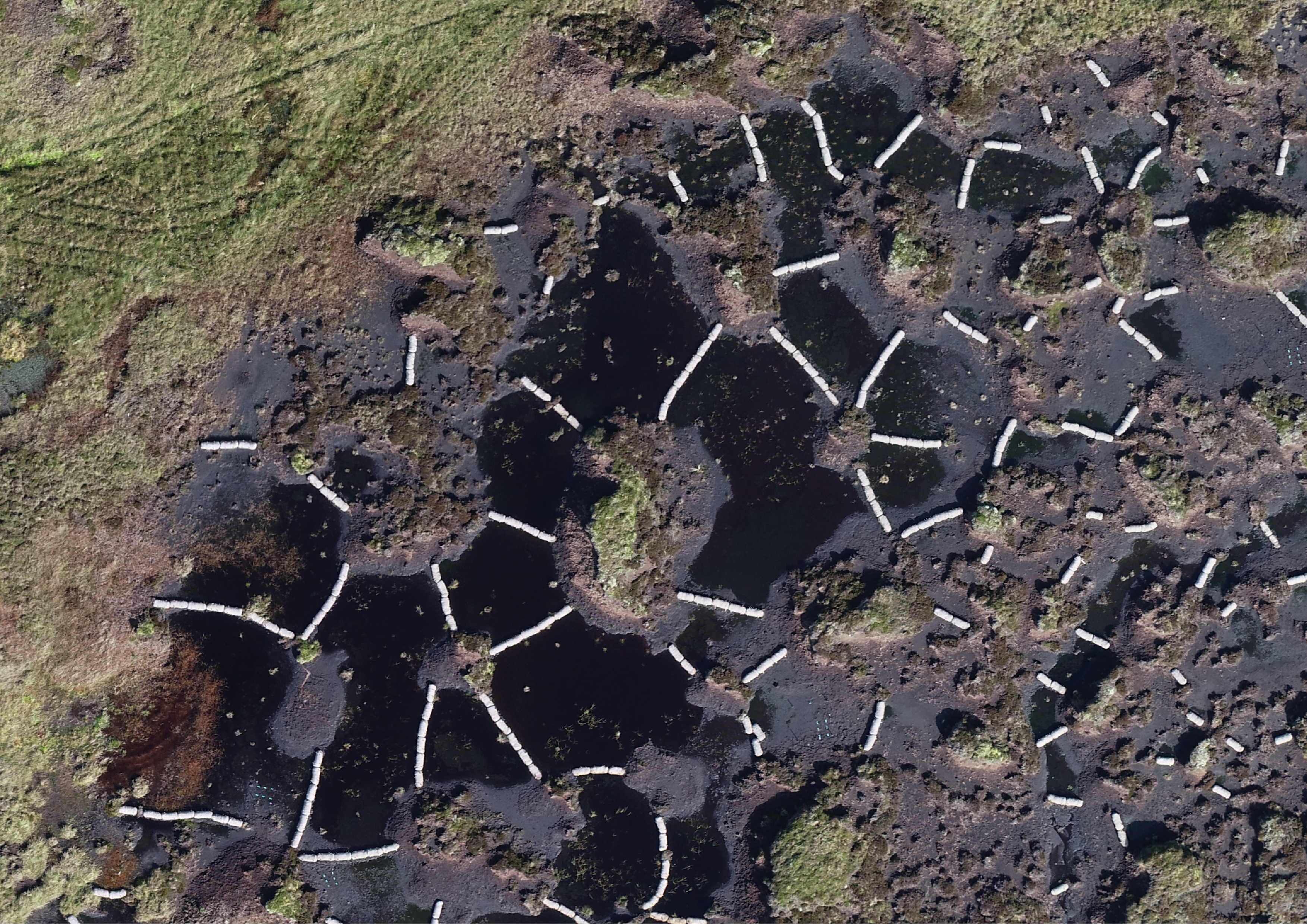 An aerial view of Fleet Moss, a degraded peatland in the Yorkshire Dales