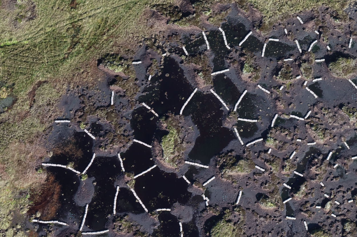 Bogs In England ‘It’s emotional’: A plan to restore the north of England’s great peat ...