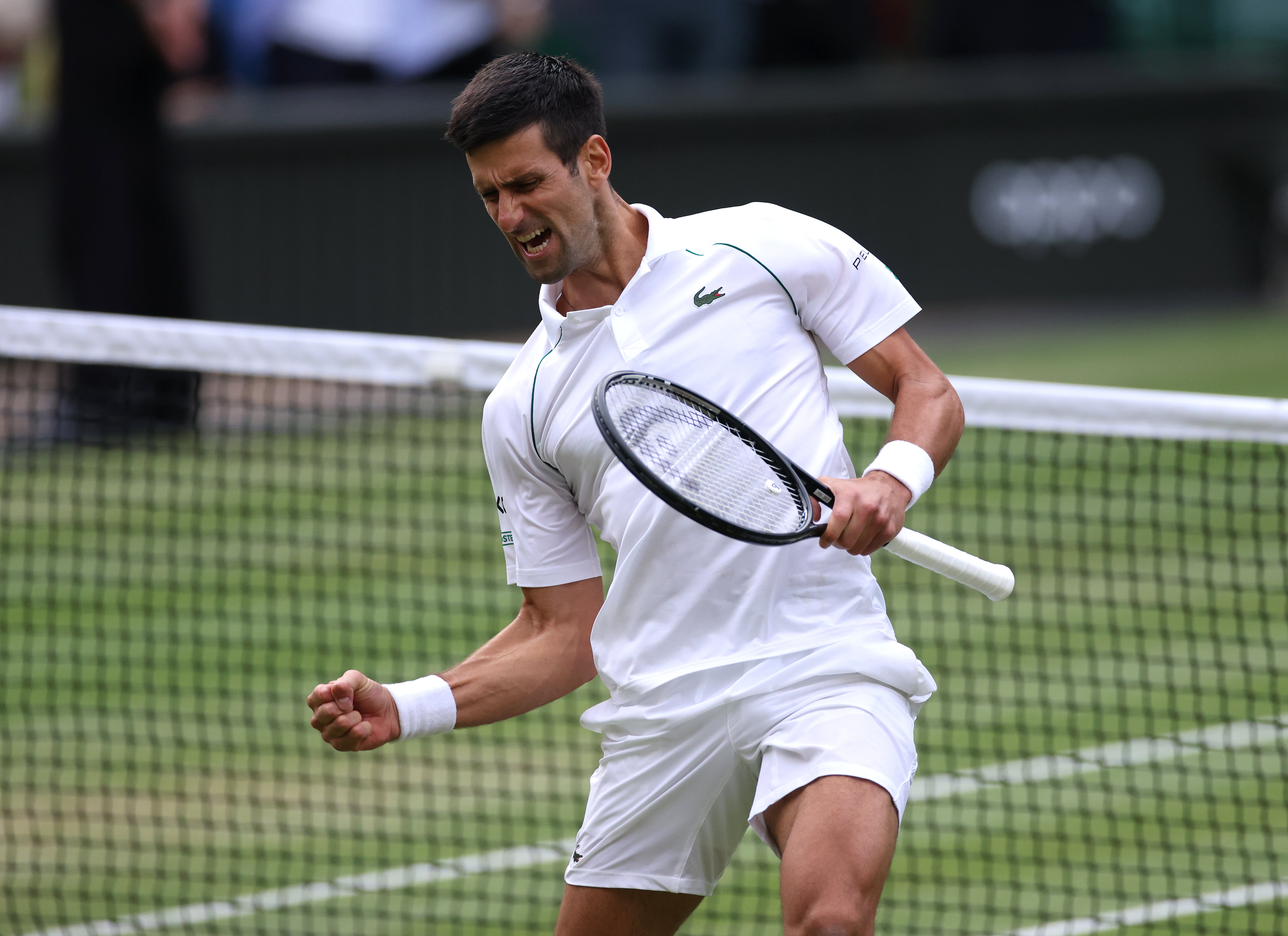 Novak Djokovic celebrates victory against Denis Shapovalov