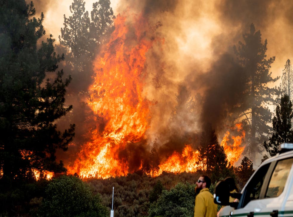 CALIFORNIA INCENDIOS FORESTALES