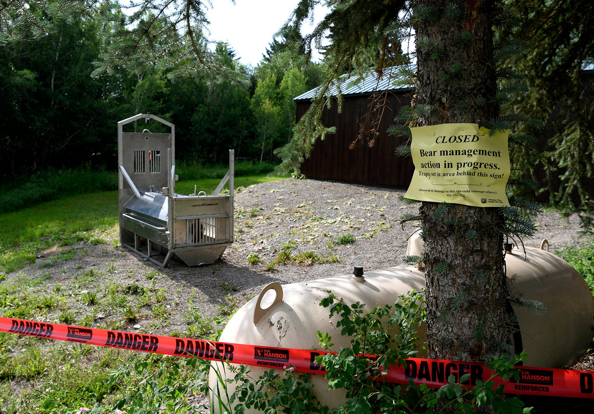 A bear trap was set near the Ovando camping site where Leah Davis Lokan was killed
