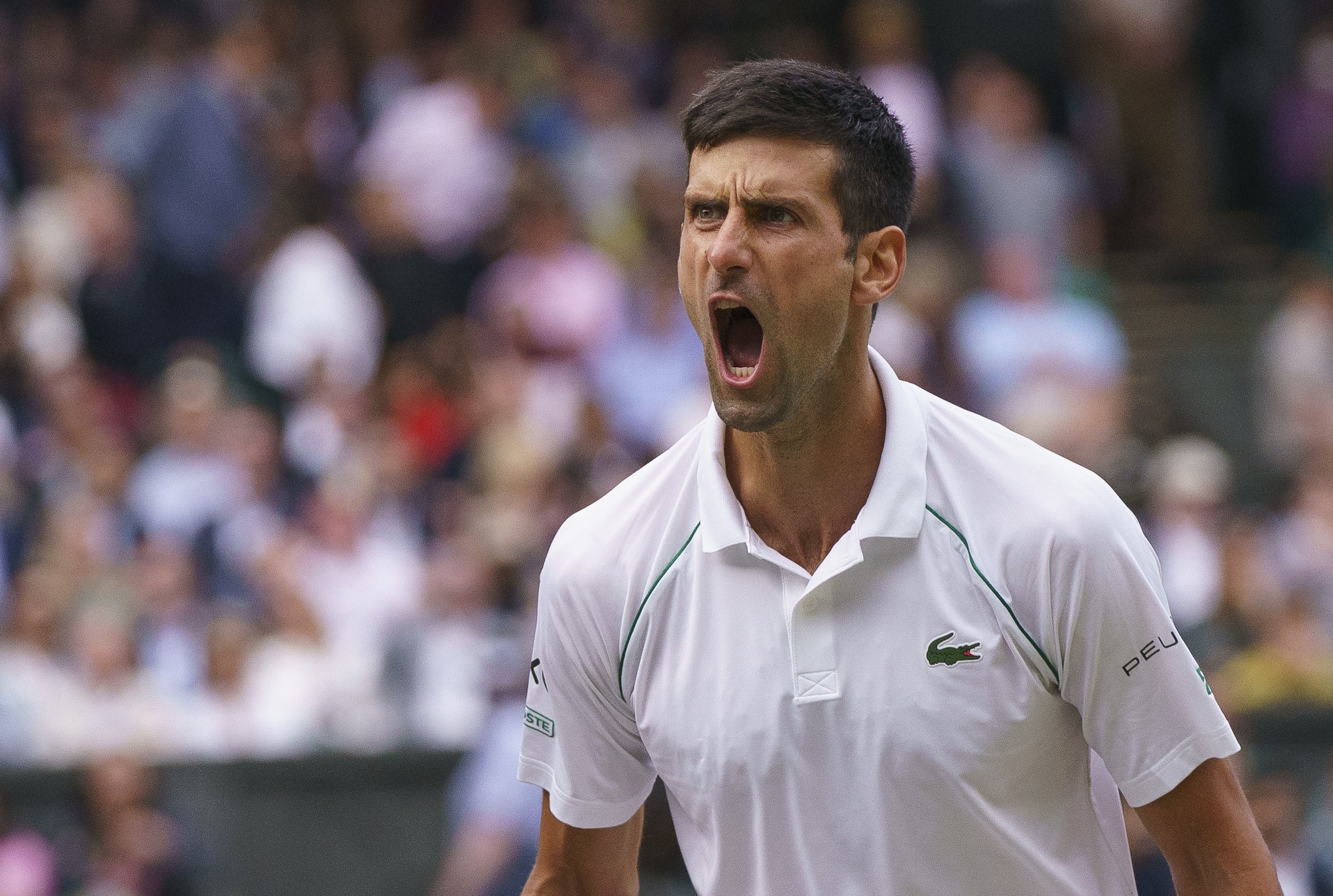 Tim Henman Novak Djokovic to one day stand alone as the best ever | The Independent