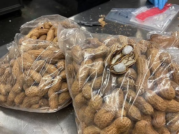 US Customs and Border Protection seized almost 500 grams of meth hidden inside peanut shells shipped from Mexico to Texas.